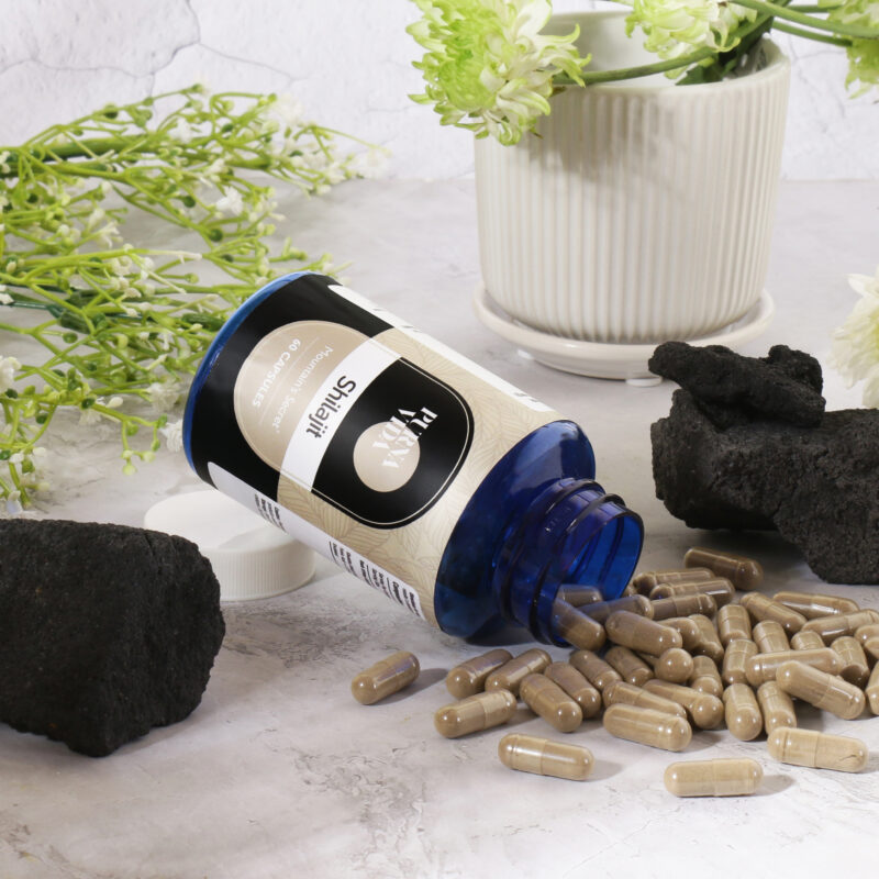 Shilajit - Image 4